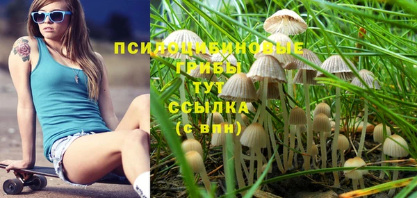 амфетамин Алексеевка