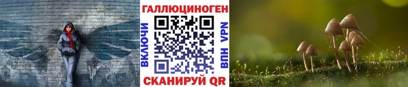 Псилоцибиновые грибы GOLDEN TEACHER Тейково
