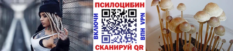 KRAKEN ссылки  Тейково  Галлюциногенные грибы Magic Shrooms 