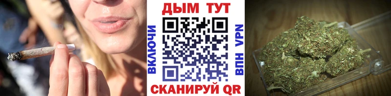 Канабис сатива  сколько стоит  Тейково 